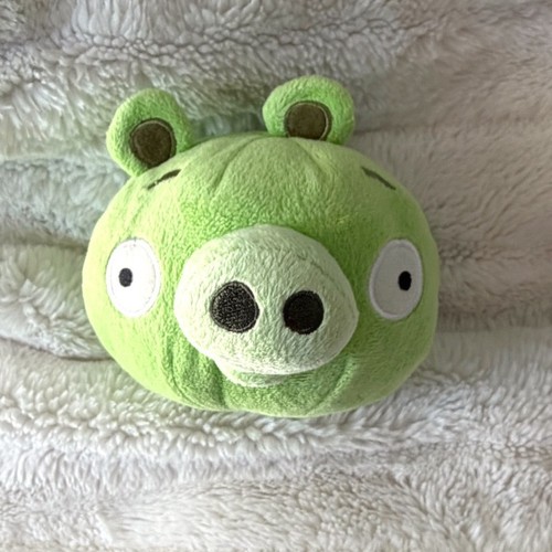 Angry birds green pig - angry,
