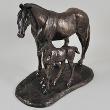 Mare and foal - foal,