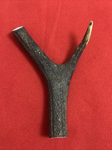 One piece deer - piece, y