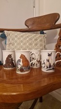 Roy Kirkham Bone China Mugs Cat Lovers Set Of 5