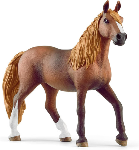 Paso peruano mare - mare, horse