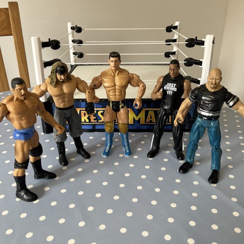 Wwe vintage wrestling plastic - vintage,