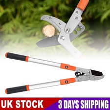 Telescopic Garden Shears Hedge