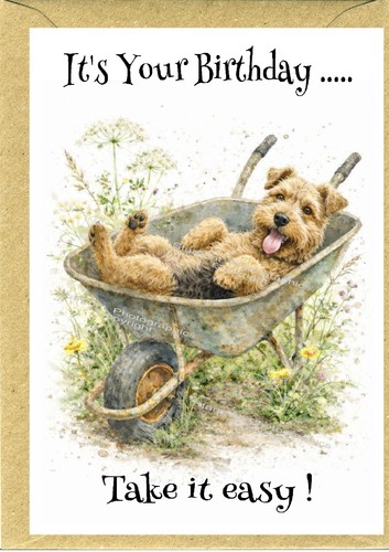 Lakeland terrier dog birthday - dog,