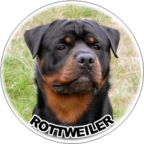 Rottweiler car stickers - rottweiler,
