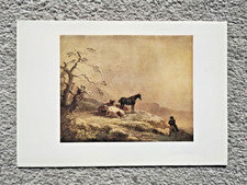 Winter: Cattle : George