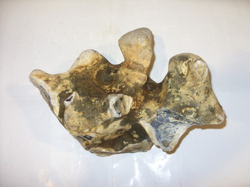 Flint stone - flint,