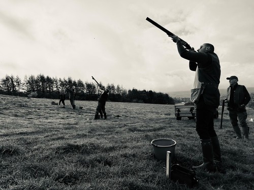 Clay pigeon simulated - pigeon, game