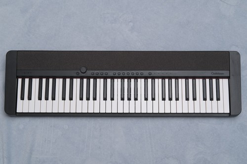 Casio keyboard - casio,