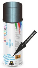 Direct Shine Paint Spray