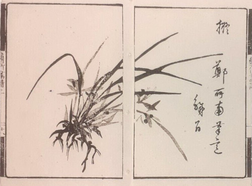 Orchid haiku poem meiji - poem,