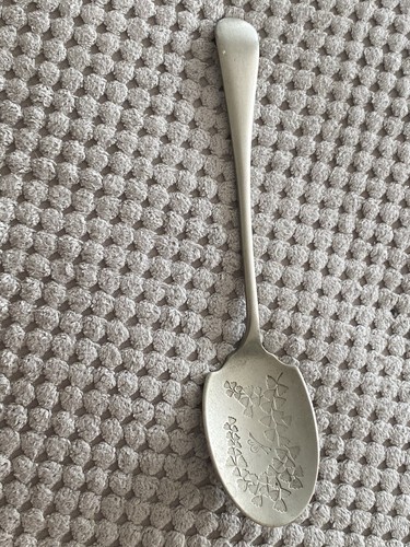 Nevada silver spoon - silver’,