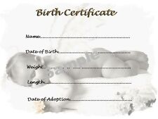 GORGEOUS BIRTH CERTIFICATE/CERTIFICATES 4 REBORN FAKE BABY approx 7"x 5"