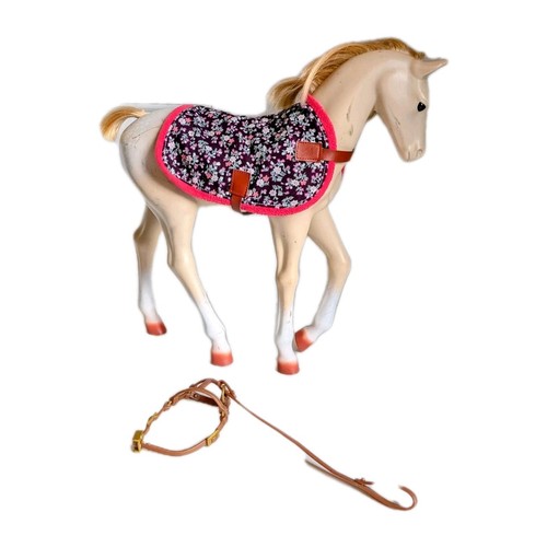 Our generation horse foal - horse,