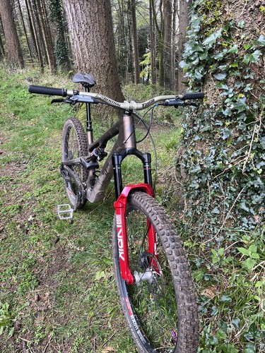 2025 stumpjumper comp - stumpjumper,