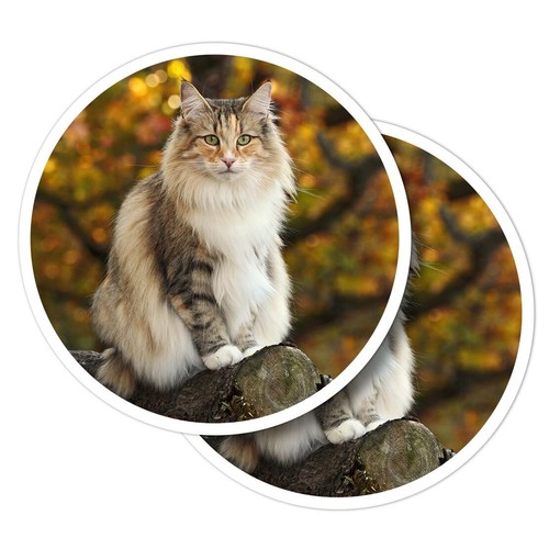 Vinyl stickers norwegian - vinyl,