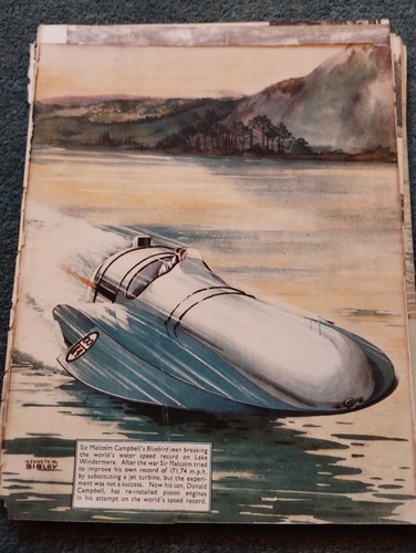 Sk155 ephemera 1949 picture - 1949,