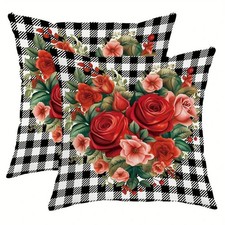 Beautiful 2 pieces set pillow