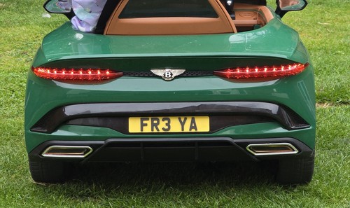 Little tikes rear number plate - rear,