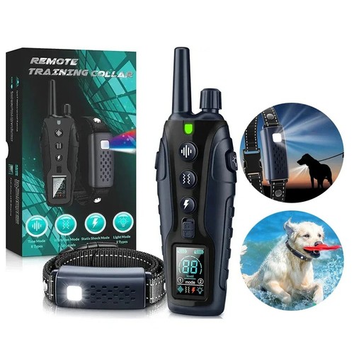 1000m smart dog training - smart,