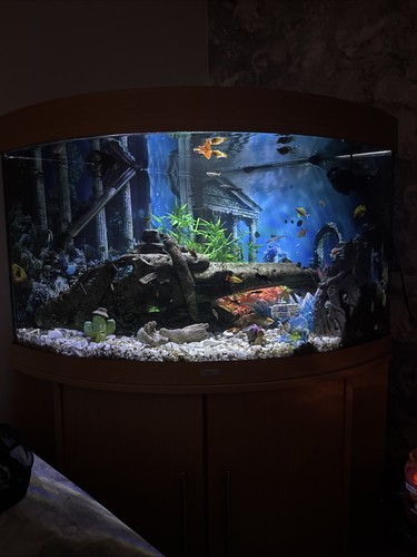 Jewul 190 litres - tank, and