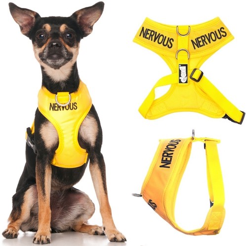 Nervous yellow non - nervous,