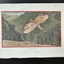 Antique Hand Colored 1807