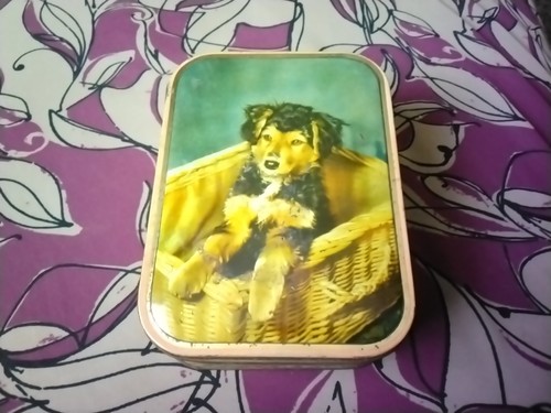 Vintage dog toffee - toffee, tin
