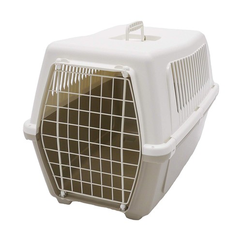 Rosewood vision classic - classic, cat