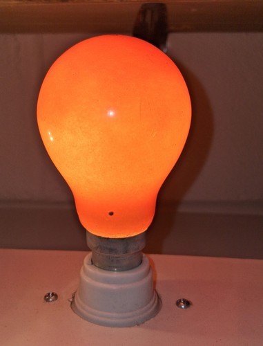 Incandescent gls light - incandescent,
