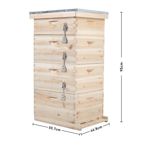 Beekeeping brood wood bee hive - brood,