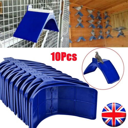 10pcs birds dove pigeon - birds,