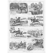 HUNTING A Morning's Cub