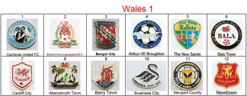 Badge pin european football - badge,