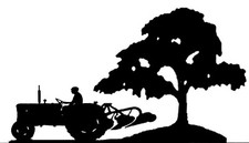 Fordson Dexta Tractor & Tree