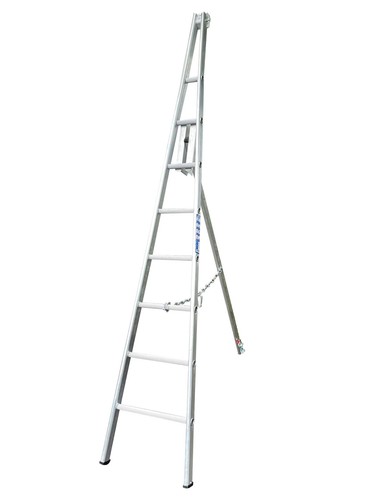 Chase ladders fruit - ladders, picking