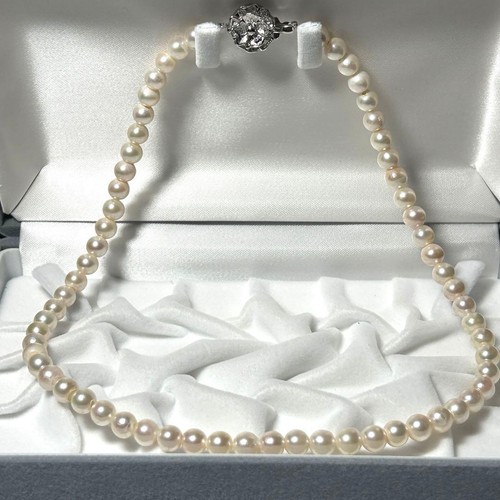 Akoya pearl 0 - 6.5, 7.0