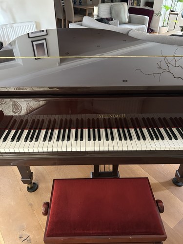 Steinback mahogany baby grand - steinback,