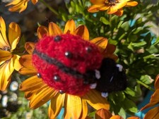 Ladybird brooch. Needlefelted. Handmade