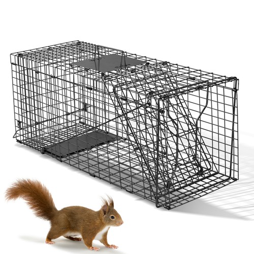 Humane rat traps black - rat, traps,