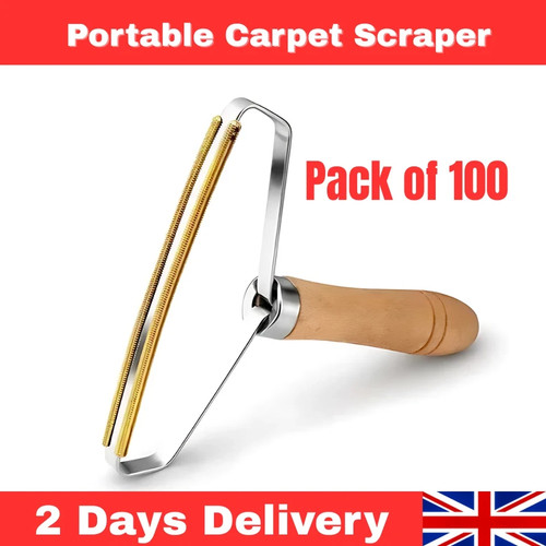 Portable lint remover carpet - portable,