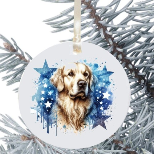 Golden retriever dog hanging - golden,