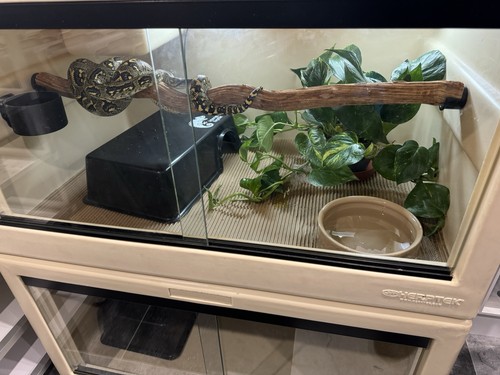 Herptek vivariums 3ft - 3ft, 90x60x50