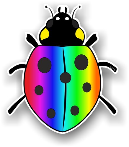 Beautiful cute ladybird - cute,