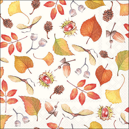 Single paper napkins for - napkins,