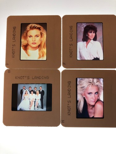 Knots landing collection - collection, 10