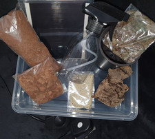 InsectsDirect - Giant African Land Snail Starter kit UKPlug Heat Mat Feeder Food