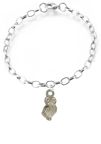 Ch23 owl silver tone - ch23,