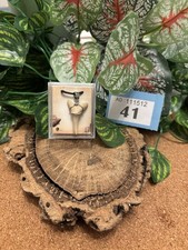 Genuine Fossil Sand Tiger