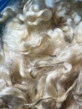  Raw Wool fleece. White Faced Dartmoor staple 15-20 cm weight 4.35 kg 2025 shear